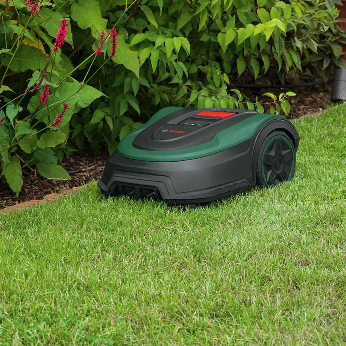 Bosch Indego XS 300 — imagen 6