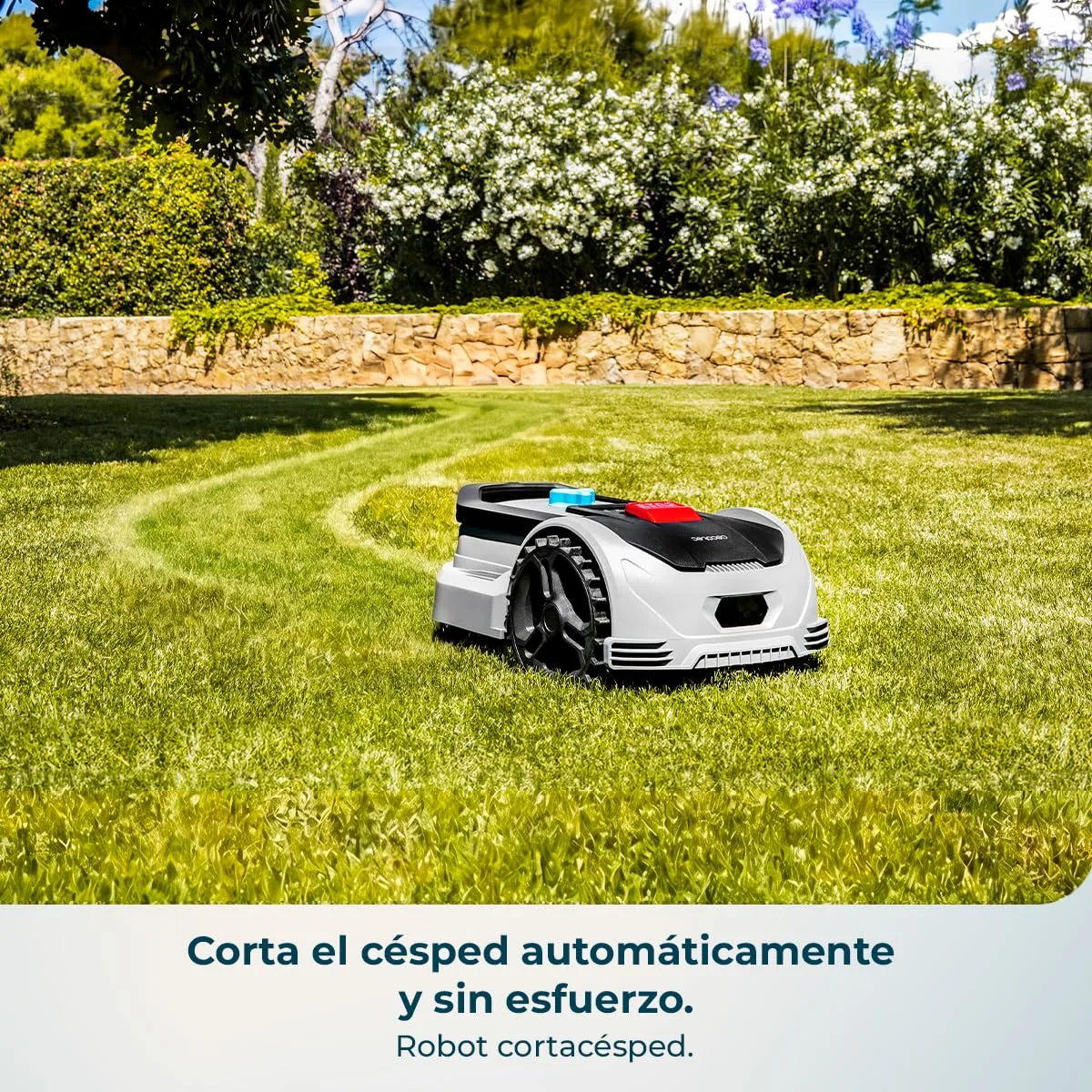 Cecotec Conga Grasshopper 300 — imagen 2