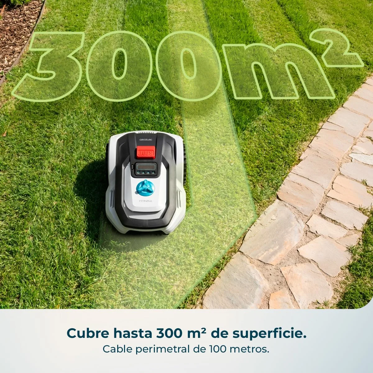 Cecotec Conga Grasshopper 300 — imagen 3