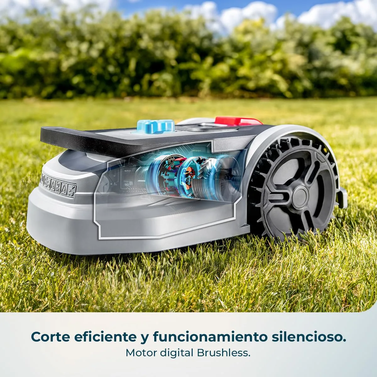Cecotec Conga Grasshopper 300 — imagen 4