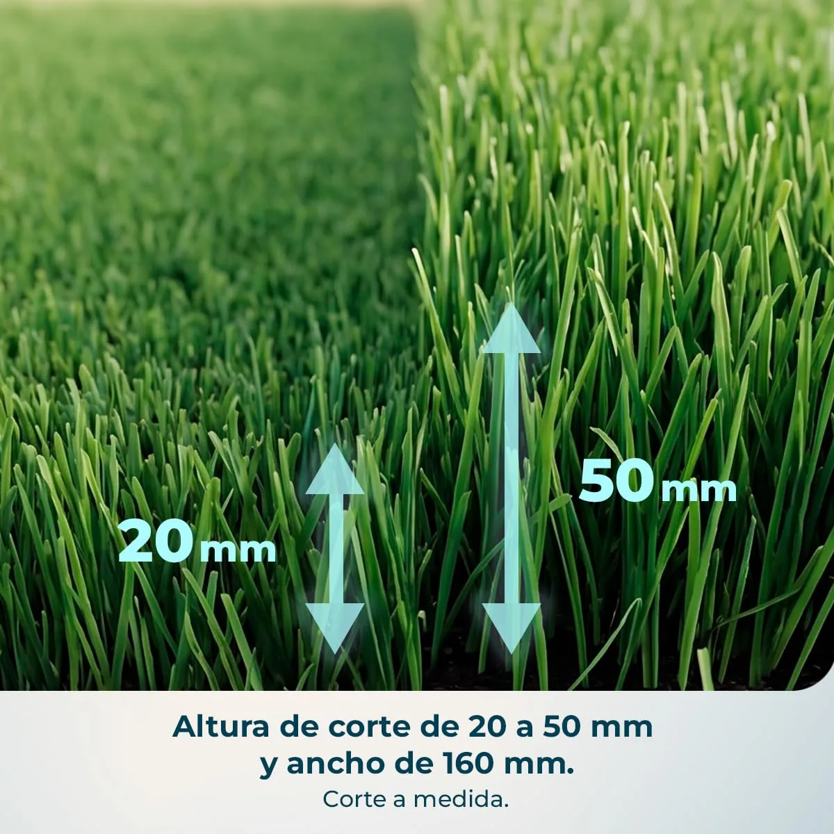 Cecotec Conga Grasshopper 300 — imagen 6